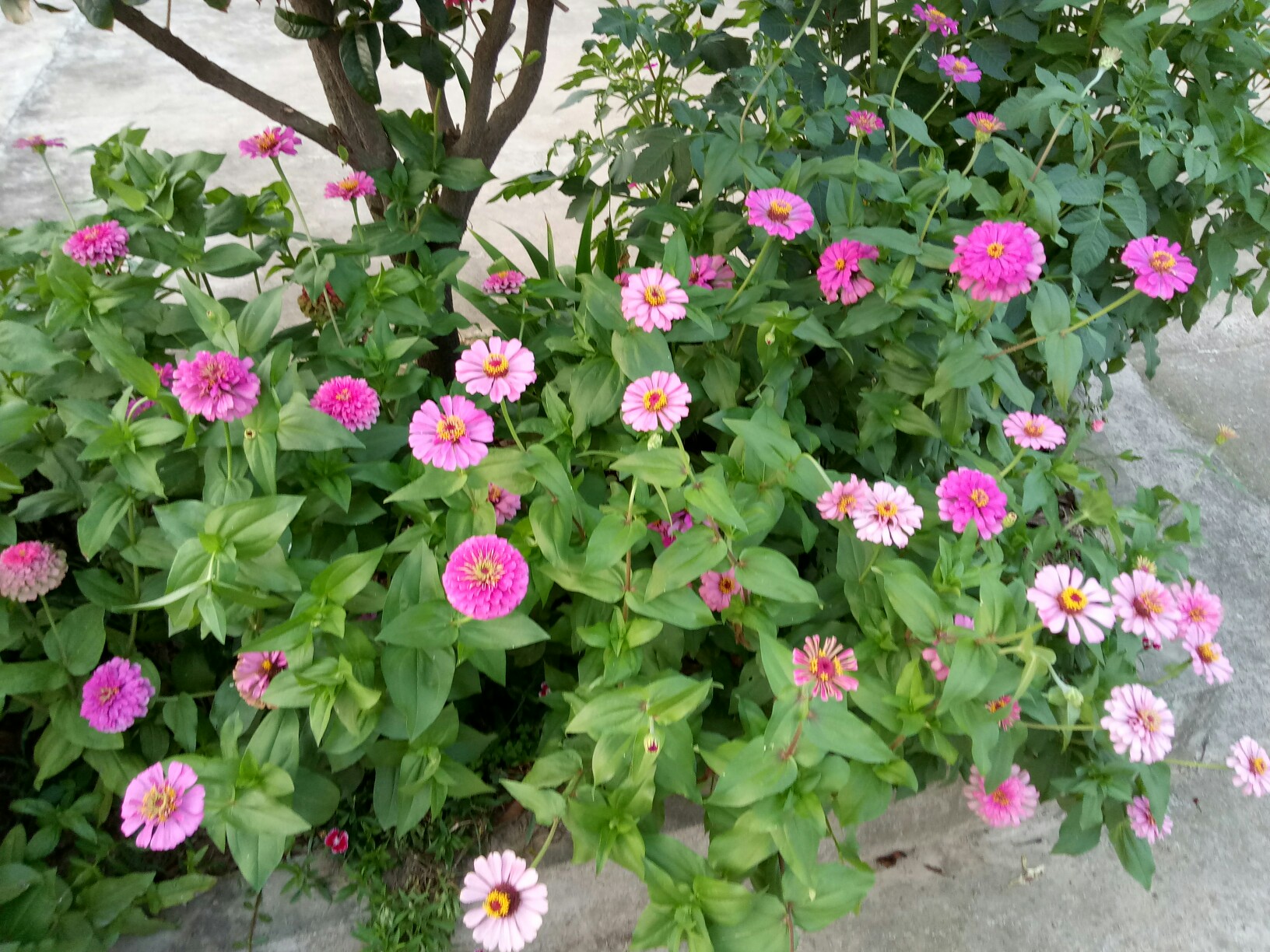 爱游戏中国-关于2?厝%?Z.?rQl	3?哉豉耋^P囁€%鉸	uU颩亘6的信息