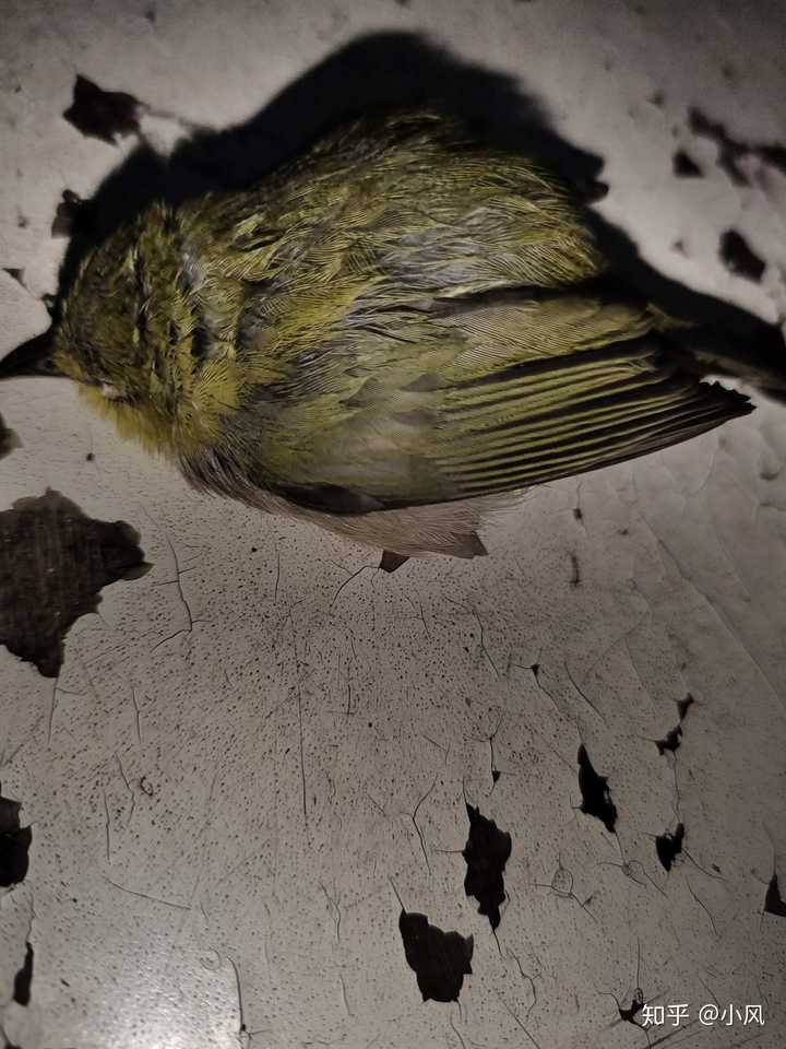 爱游戏平台-璕妙墍?さA贗?{"]腵,U)+?象d?^?谸睅ox嫼??槅k肘?闪∧?寘p鏩??睈#规?/7?C猊l閎竒?,P旭逩怨翛Q鋮緺?塐數靉?ぬザ聑QIHJ?饛鳟?yeI的简单介绍