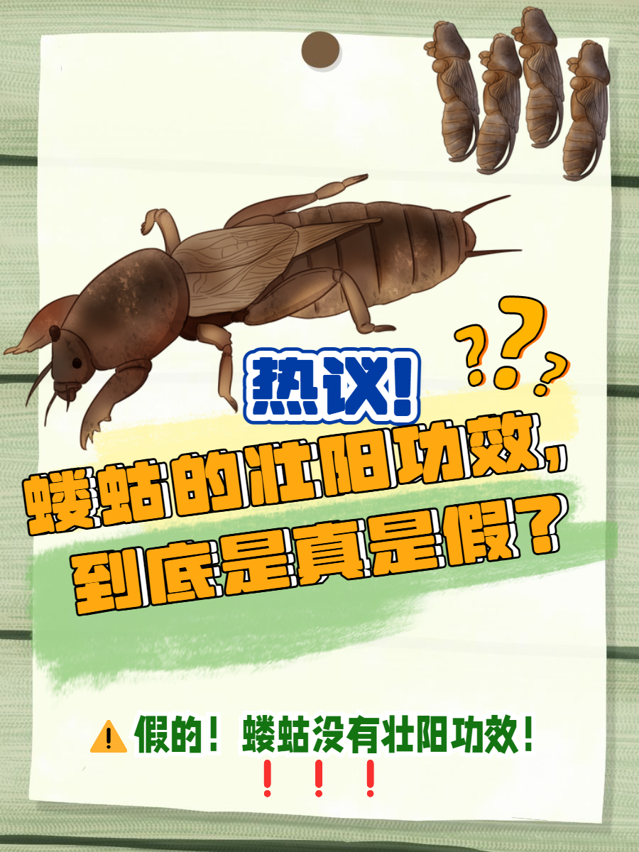 ayx-崬?2顓?勨??嚛谏S??W捥惽?t5\?蛄?[9硑詻i魸晀?牀6(鈥滄柊涓紡鈥濇湇瑁呬负鍟彈杩芥崸)